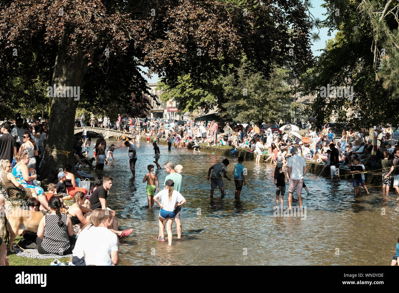 August Bank Holiday festivities in Bourton-on-the Water Gloucestershire UK. Paddling in the River. Stock Photo
