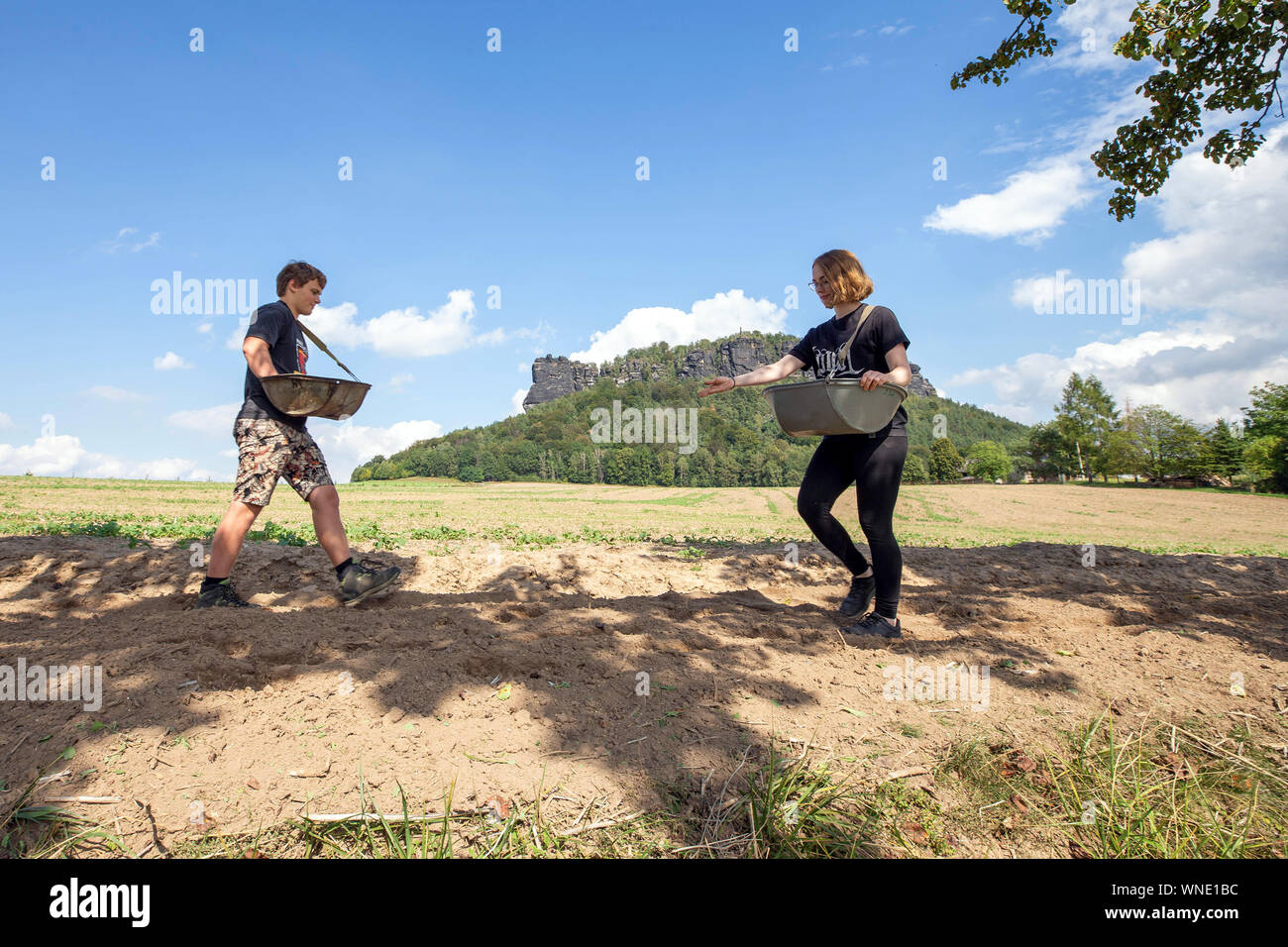 Ebenheit, Germany. 05th Sep, 2019. Jonas Schönfelder (l.) and Luisa Koblitz scatter seeds on the 600-metre-long strip of flowers at the edge of a field. The Saxony-wide campaign started in the Saxon flatness near Königstein. The aim is to preserve the diversity of flowers and animals on green strips. Credit: Daniel Schäfer/dpa-Zentralbild/ZB/dpa/Alamy Live News Stock Photo