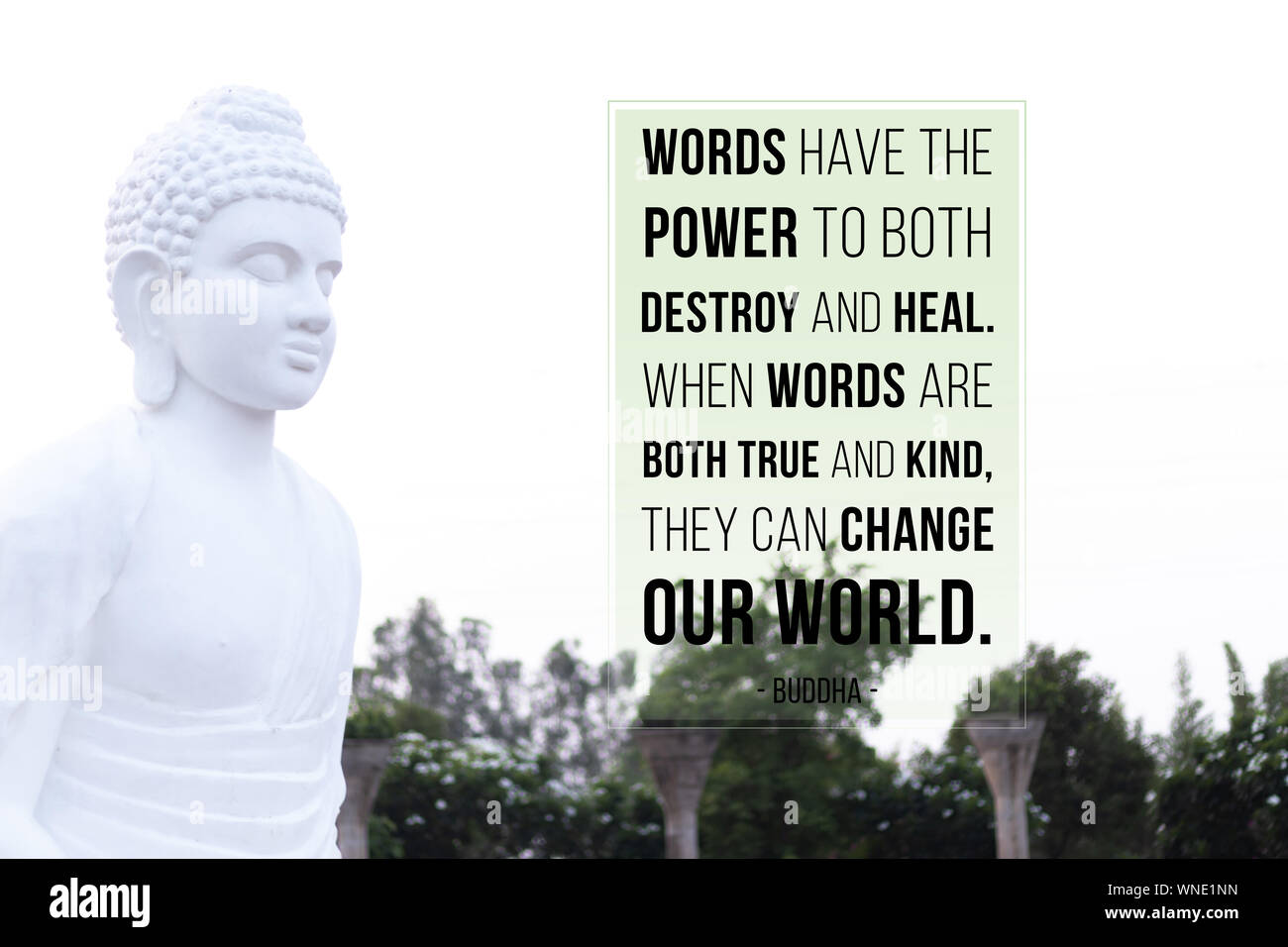 The power 2024 of buddha