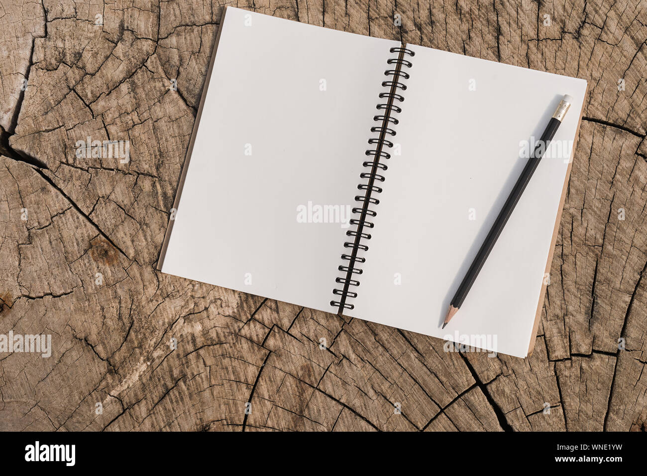 High Angle View Of Book With Pencil On Tree Stump Stock Photo