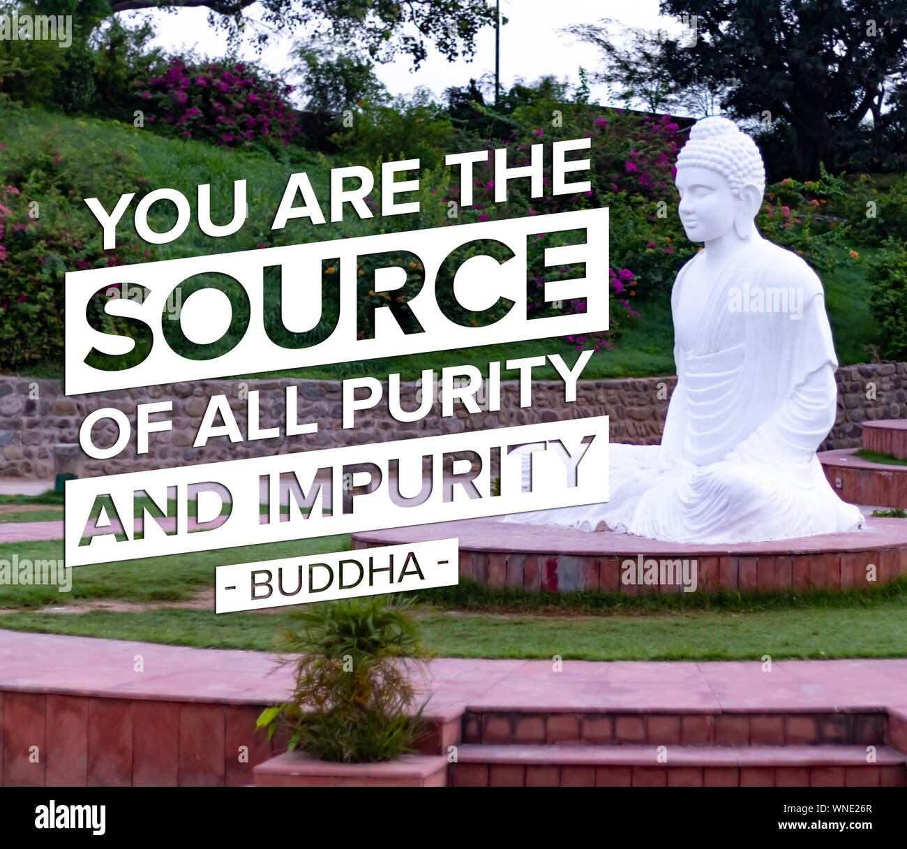 You are the source of all purity and impurity - buddha Stock Photo