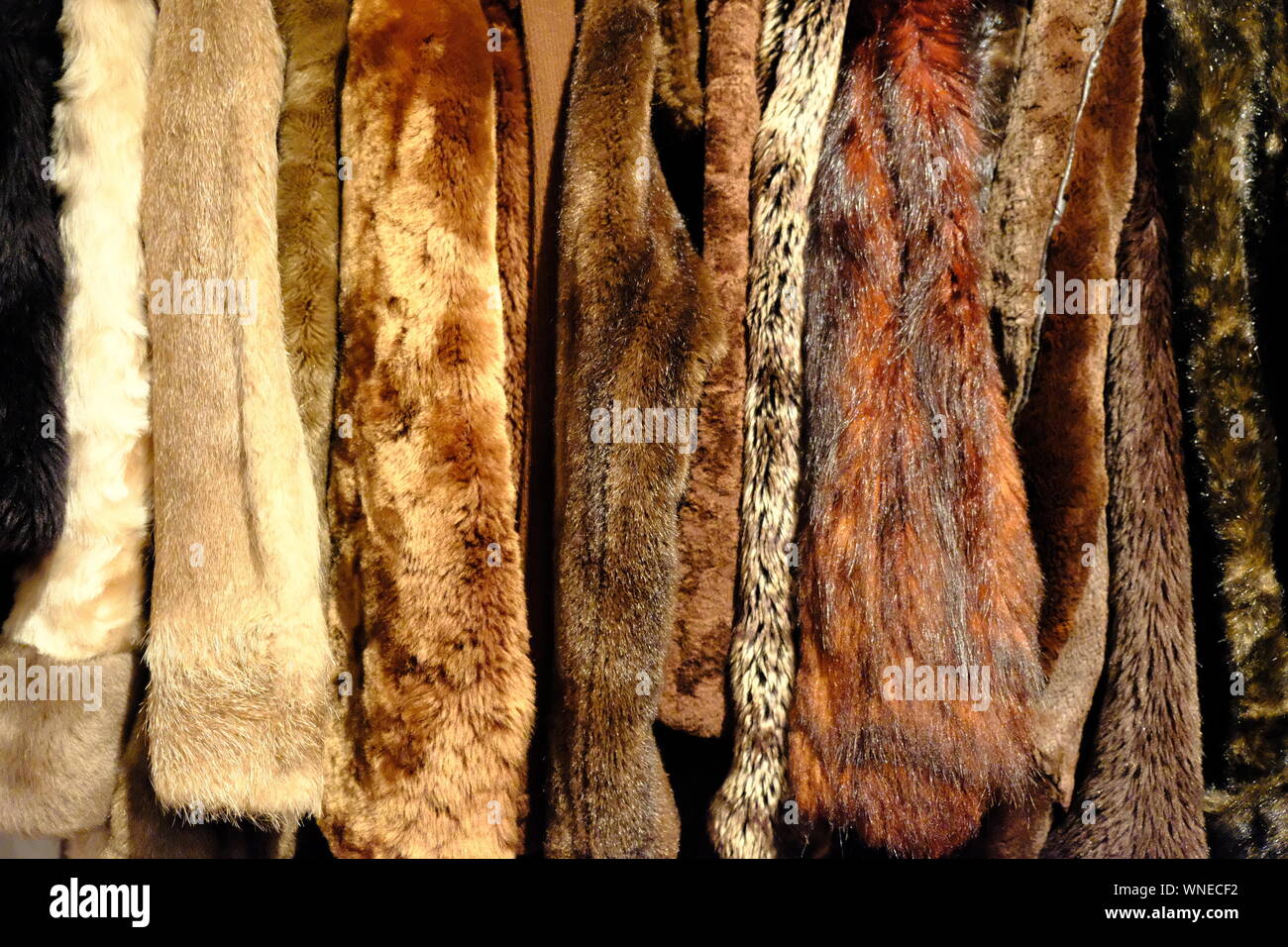 Animal Skin Clothing High Resolution Stock Photography and Images Alamy