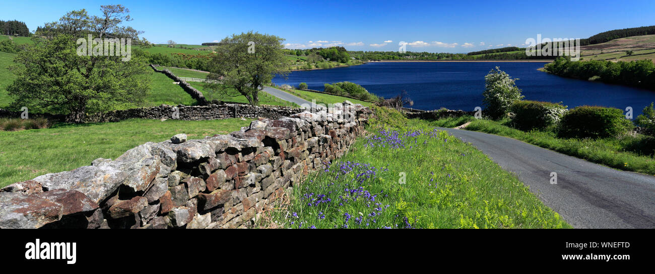 Spring view over Leighton Reservoir, Nidderdale, North Yorkshire, England, UK Stock Photo