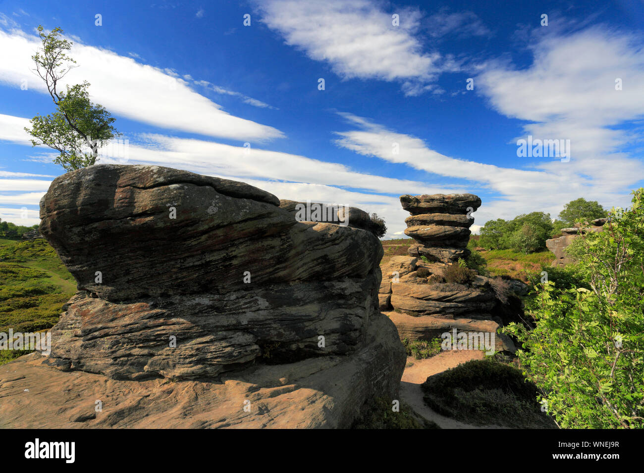 The Gritstone rock formations at Brimham Rocks, Nidderdale, North