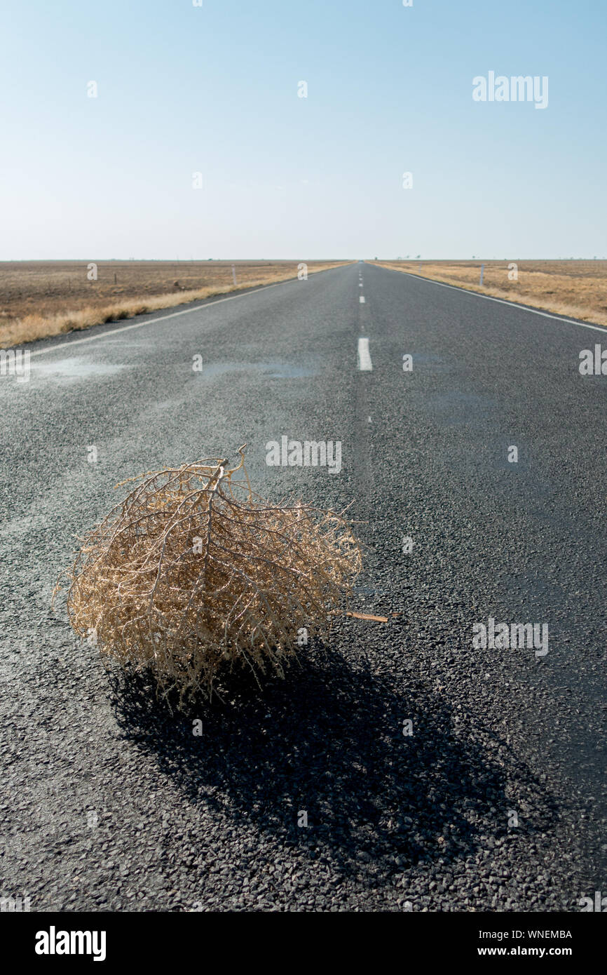 Tumbleweed hires stock photography and images Alamy