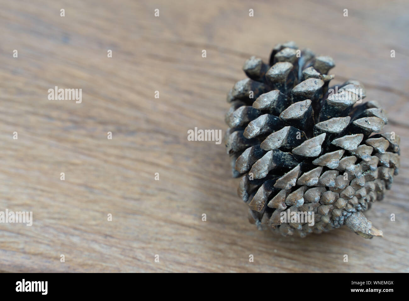 Handmade natural pine cone hi-res stock photography and images - Alamy