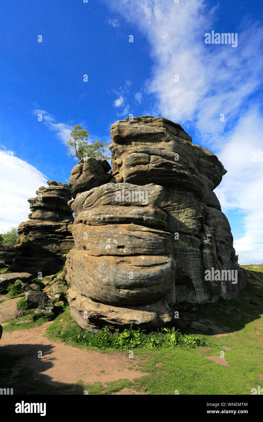 The Gritstone rock formations at Brimham Rocks, Nidderdale, North