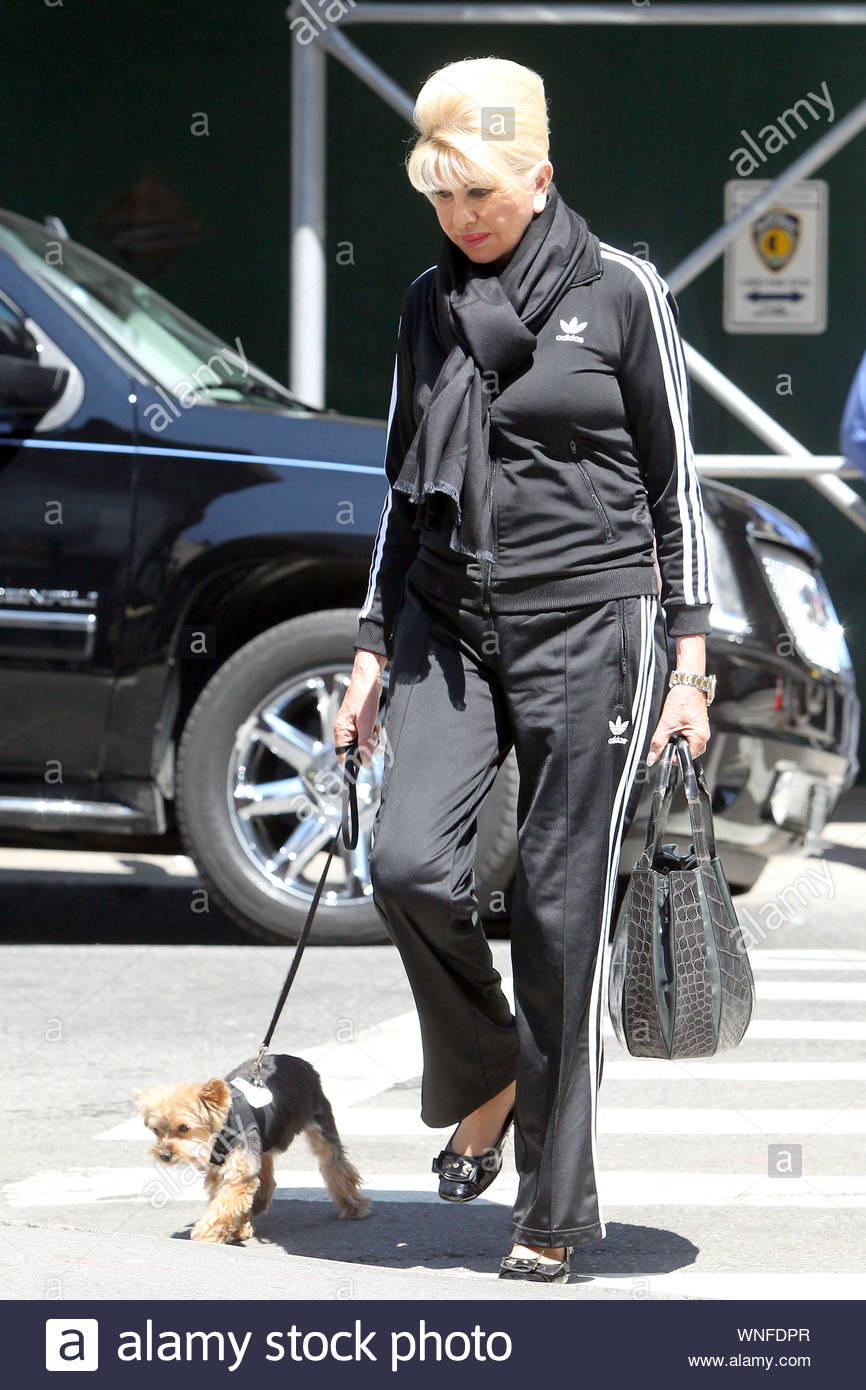 dog adidas suit