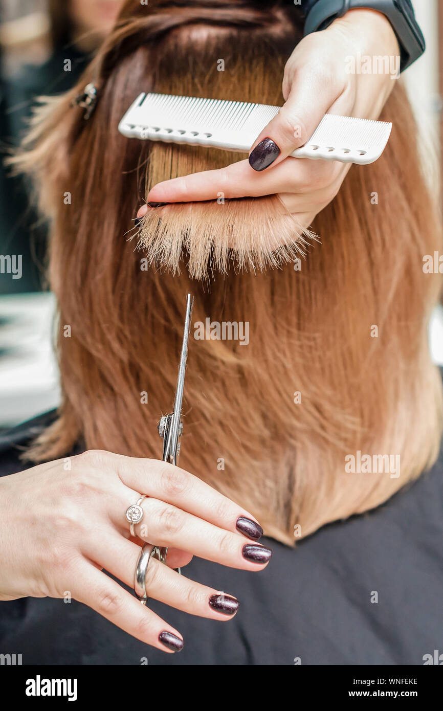 Professional Hairdresser Hold In Hand Between Fingers Lock Of Red