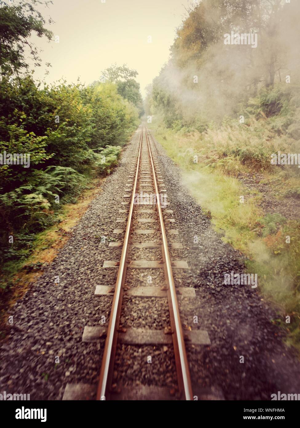 Narrow gauge railroad hires stock photography and images Alamy