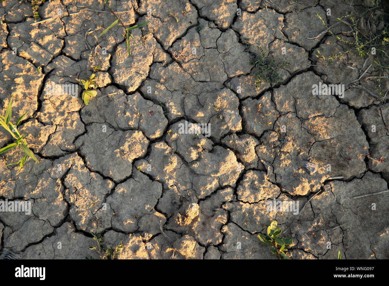 Deep cracks in dry soil. Drought or climate change wallpaper or background. Stock Photo
