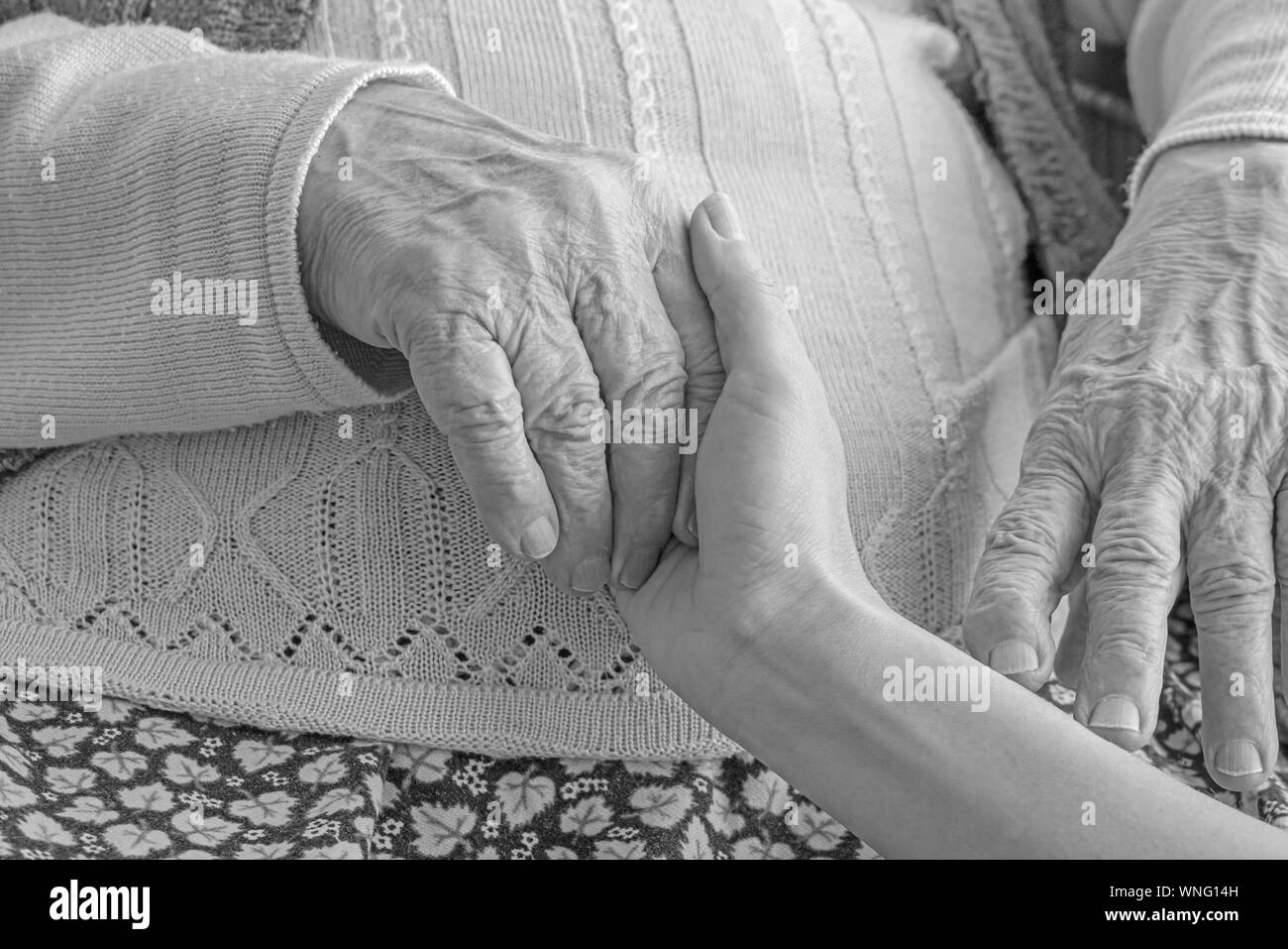 Closeup female hand holding a wrinkled hand of a senior woman Stock ...