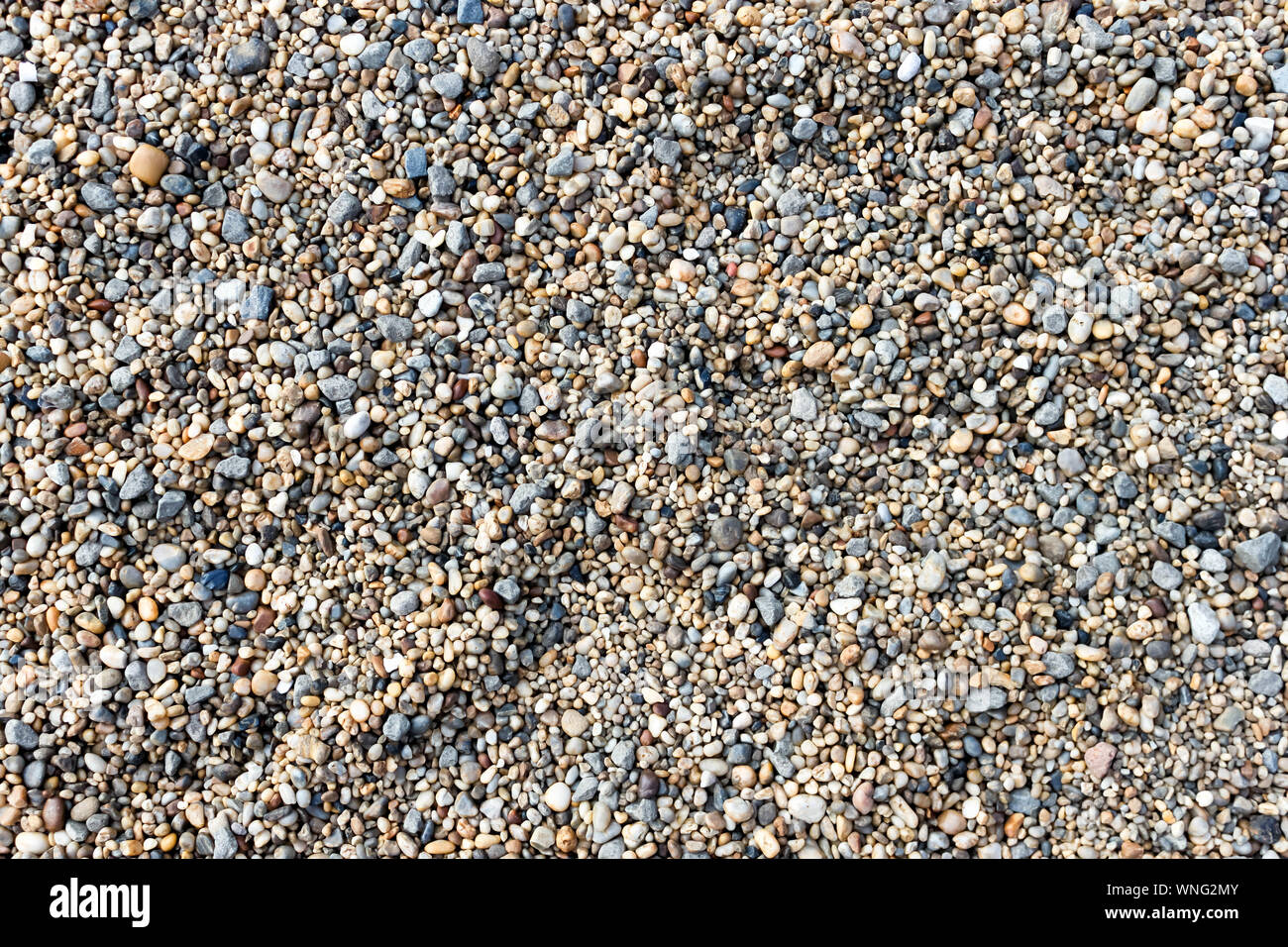 Abstract texture background of natural round peeble stone, fine gravel, shingle. Top view of naturally polished sea rocks from a beach shore. Text cop Stock Photo