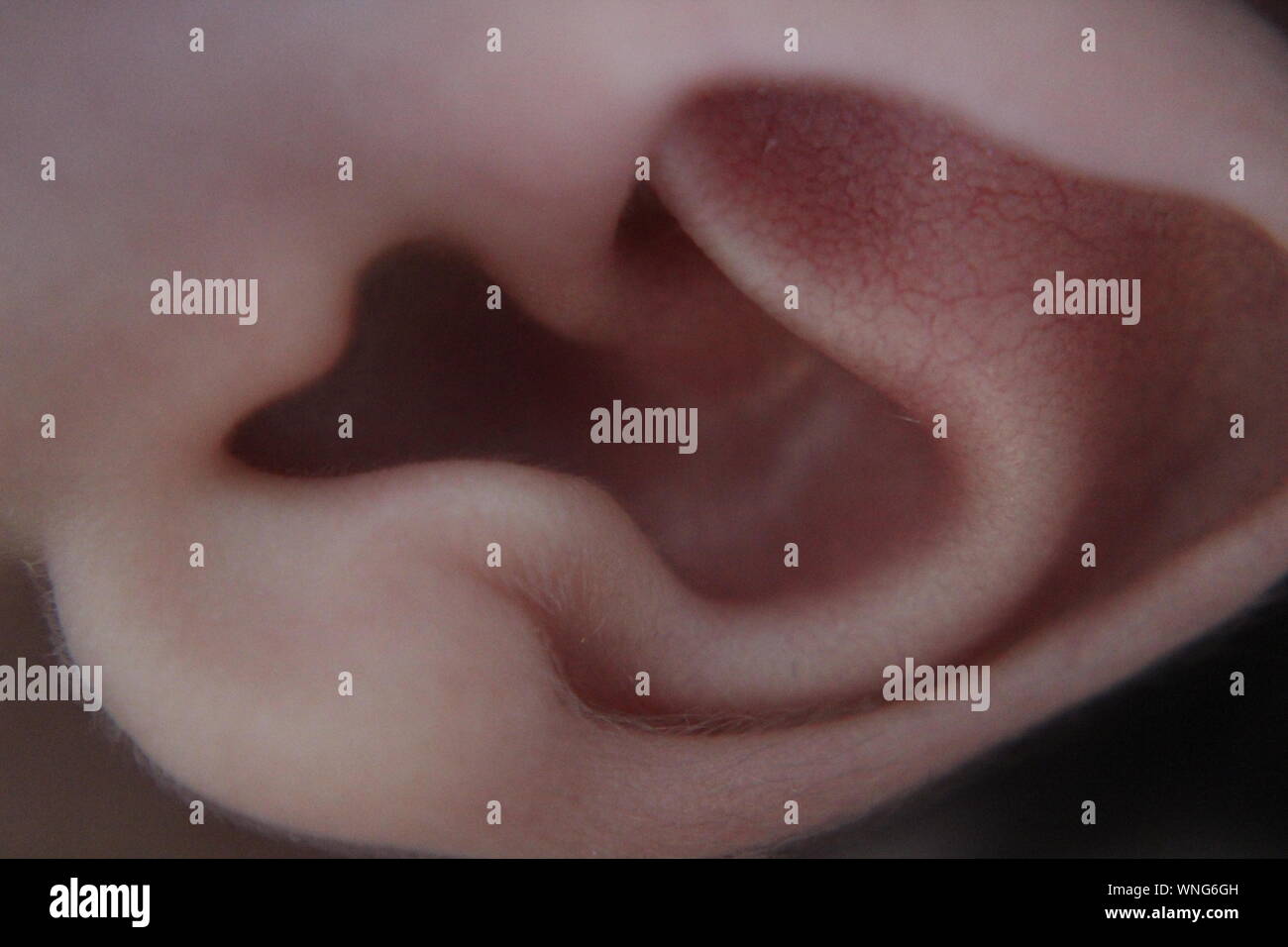 Close-up Newborn Child Ear Stock Photo