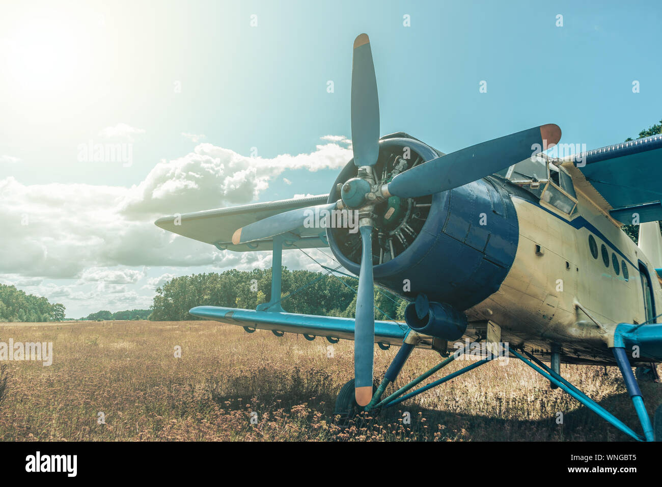 Beautiful blue and yellow airplane on a forest and sky background. Vintage aircraft. Stock Photo