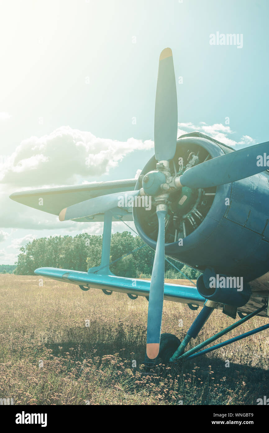 Beautiful blue and yellow airplane on a forest and sky background. Vintage aircraft. Stock Photo
