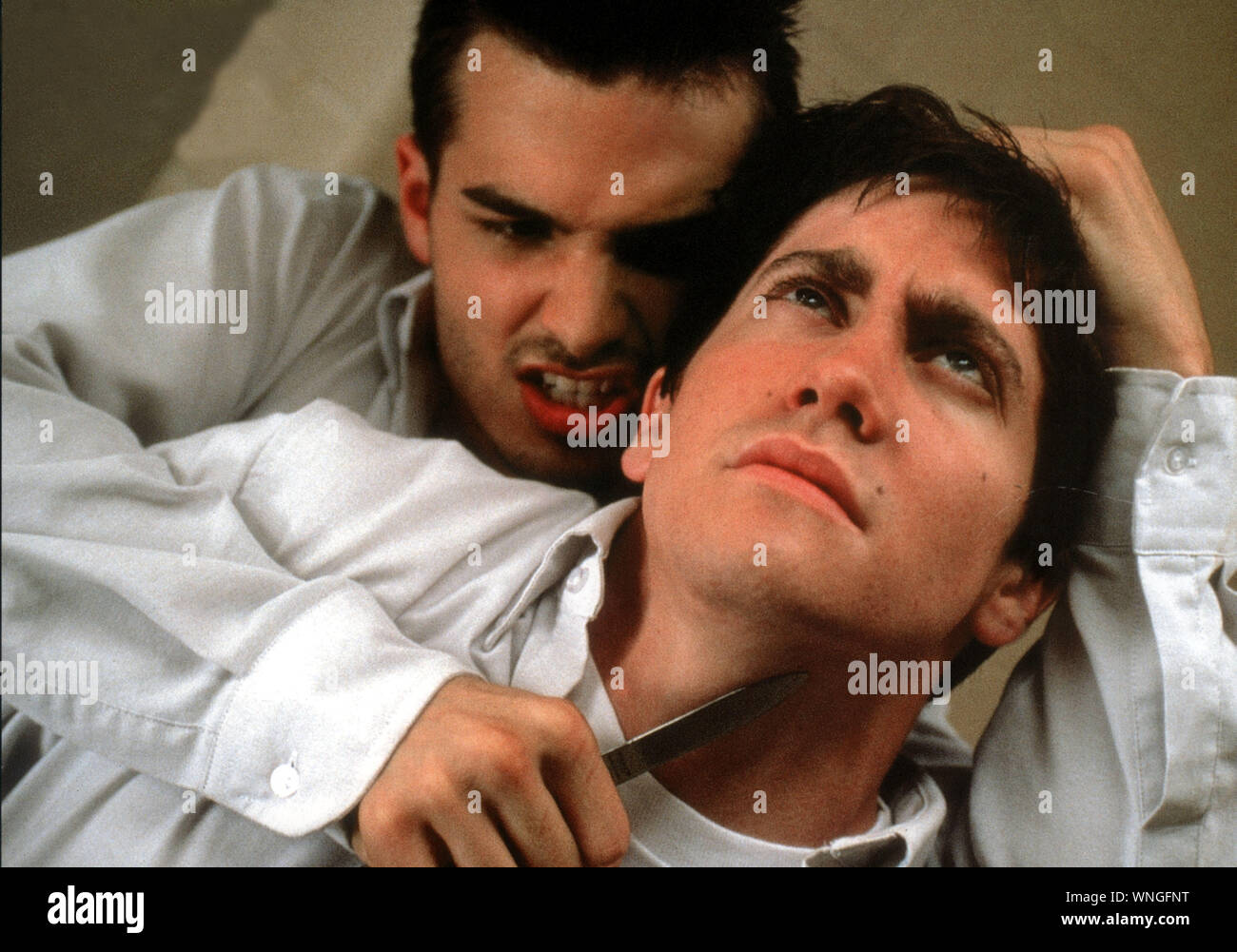 Donnie Darko  Year: 2001 USA Jake Gyllenhaal  Director :Richard Kelly Stock Photo