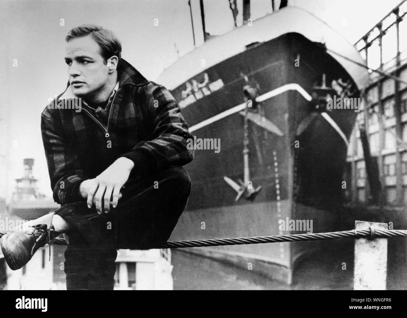 On the Waterfront  Year: 1954 USA  Marlon Brando  Director: Elia Kazan Stock Photo