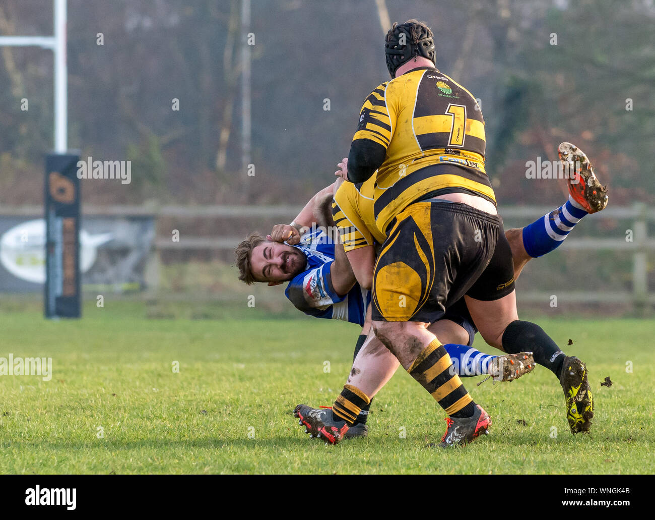 Adult male rugby union tackle crunch tackle, ball carrier goes