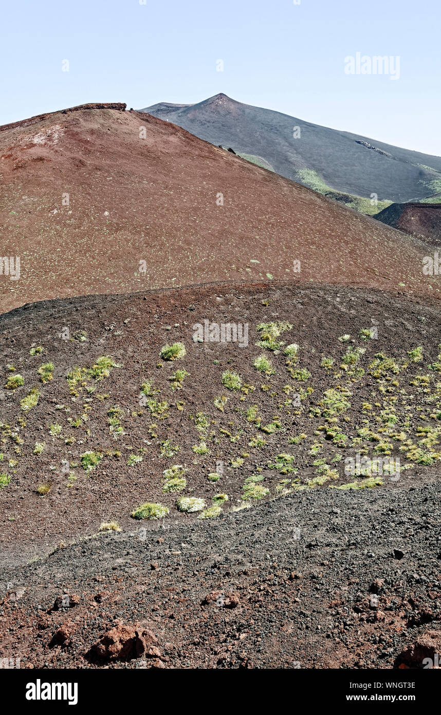 Mount Etna; Europe's largest active volcano; nature, devastation, some vegetation, destruction, Catania; Sicily; Italy; summer; vertical Stock Photo