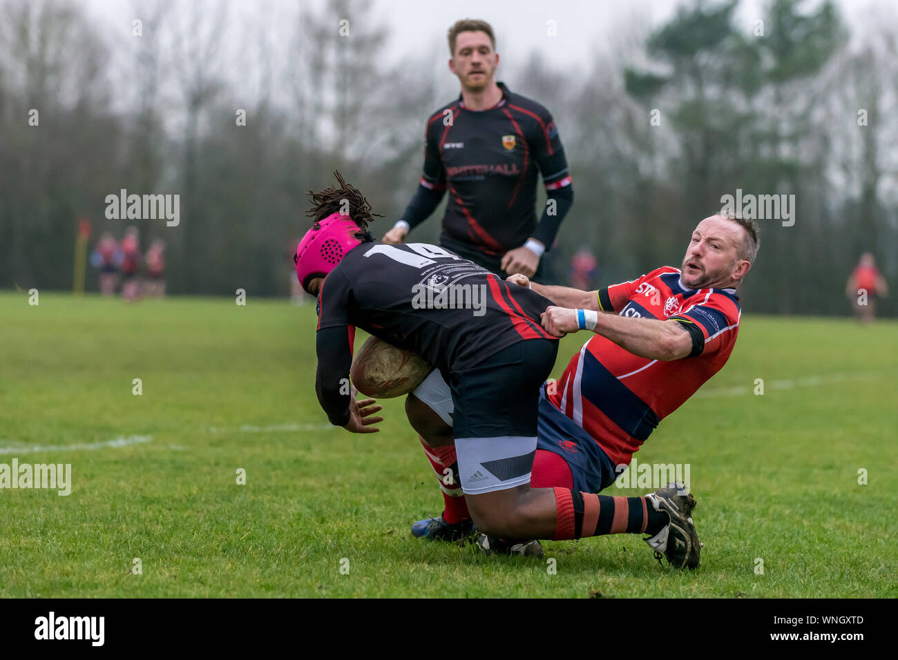 Adult male rugby union tackle, player desperately grabs onto the shorts of player with the ball. Stock Photo