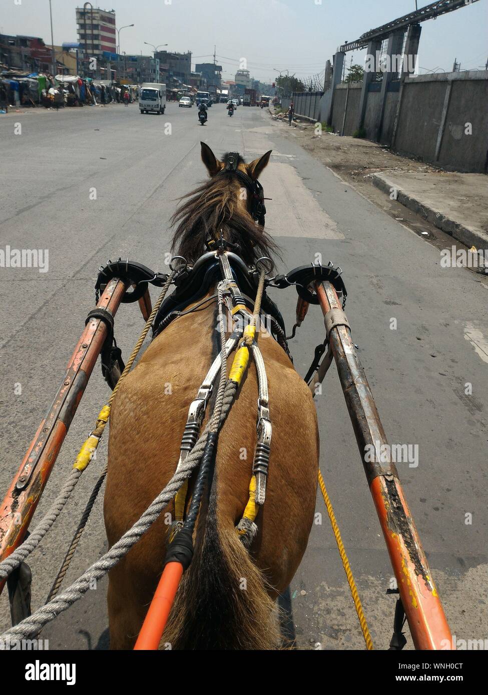Horse Pulling Cart High Resolution Stock Photography and Images Alamy