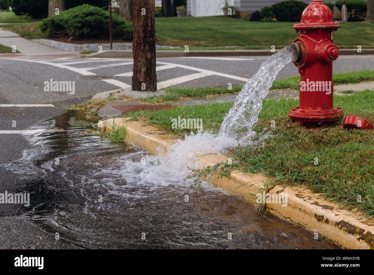Opened fire hydrant later leak spray in residents open fire hydrants Stock Photo Alamy