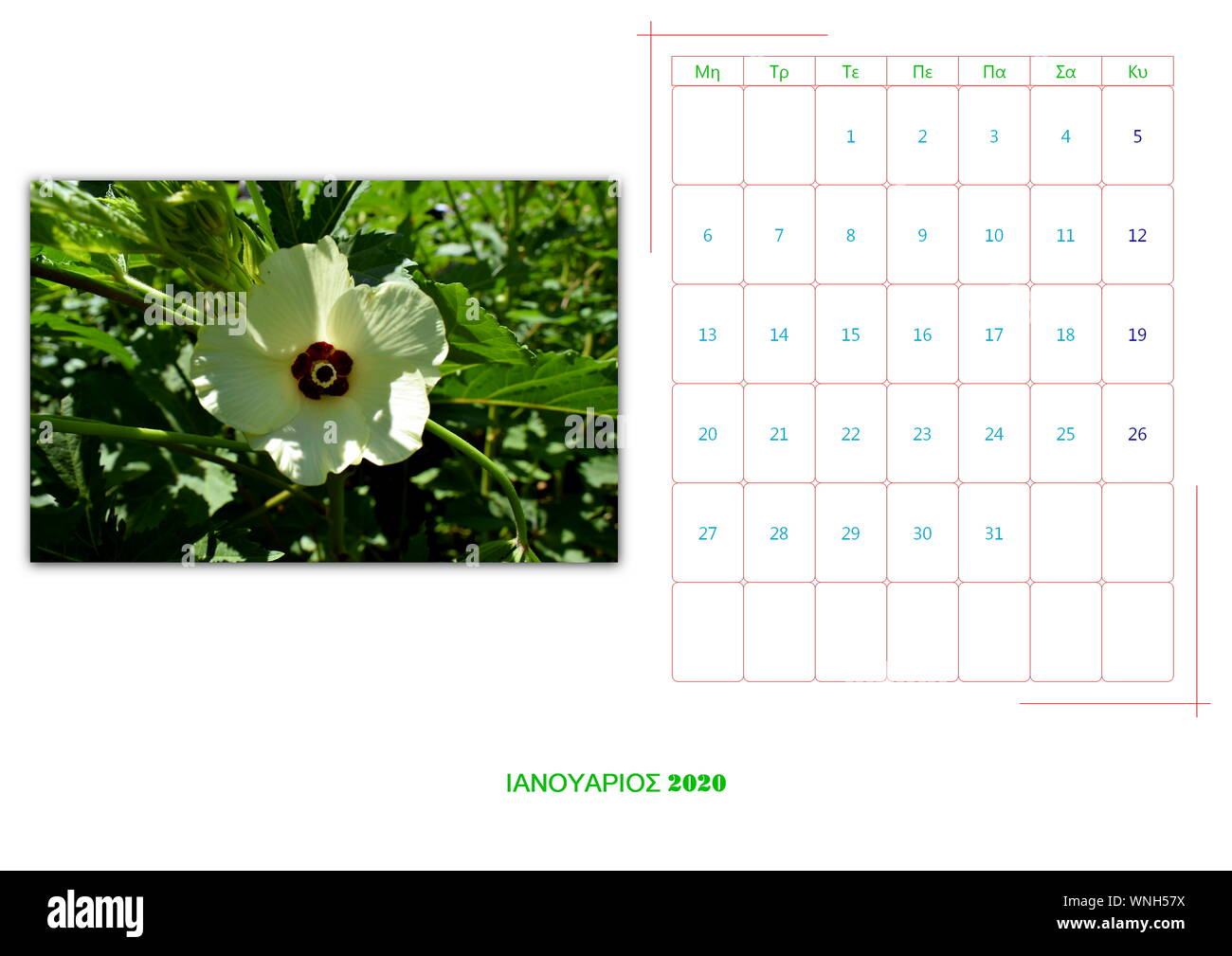 calendar of 2020 per mont with 12 photos with flowers Stock Photo Alamy