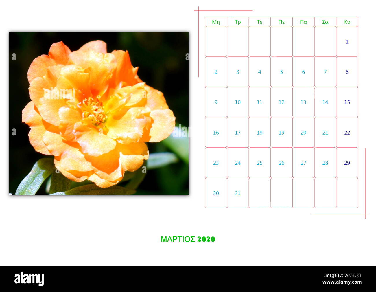 calendar of 2020 per mont with 12 photos with flowers Stock Photo Alamy