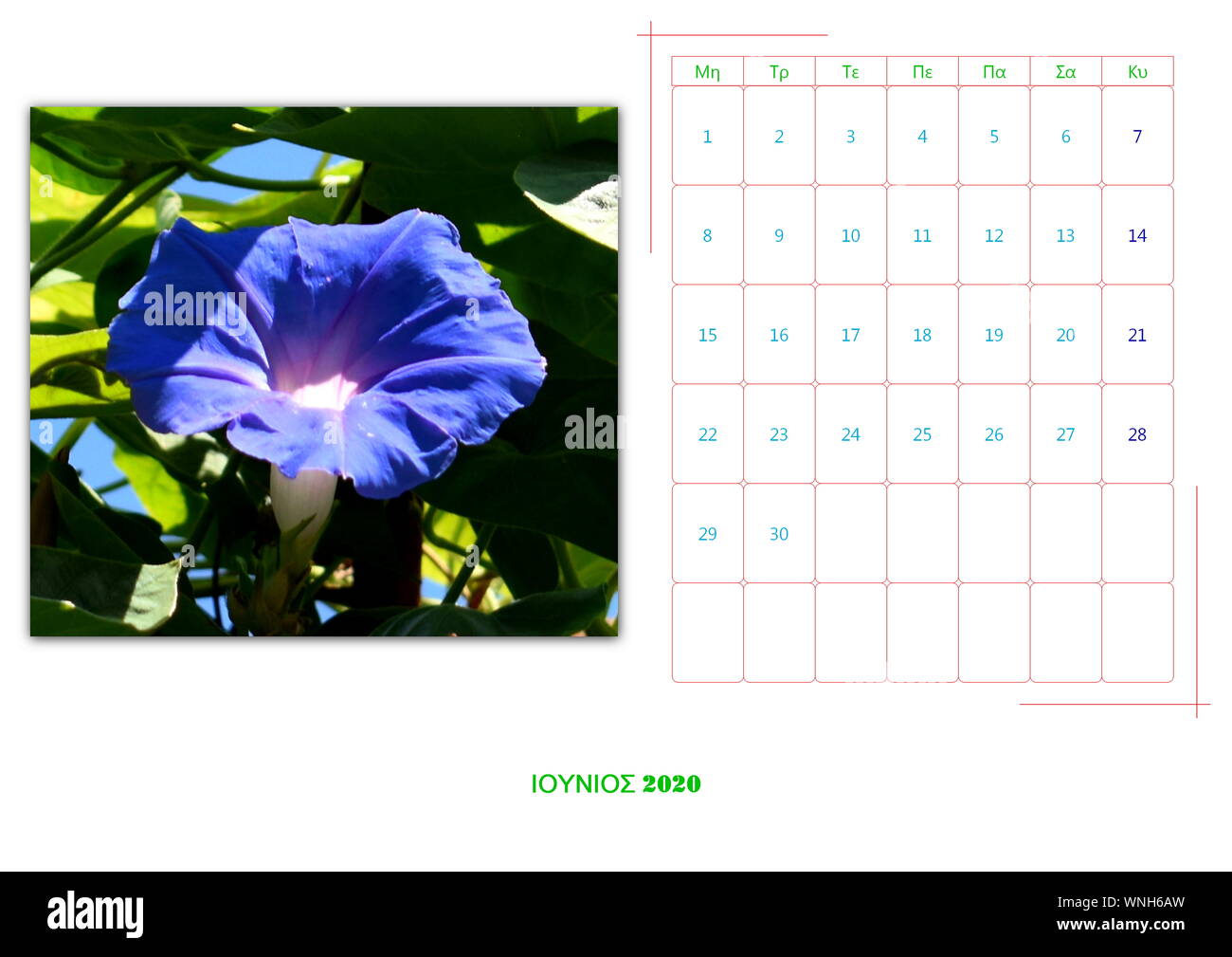 calendar of 2020 per mont with 12 photos with flowers Stock Photo Alamy
