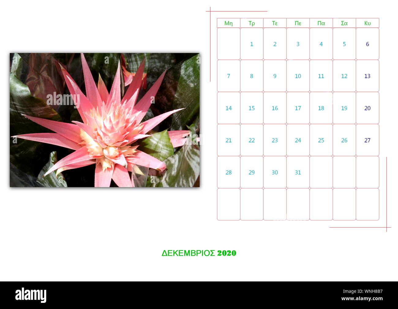 calendar of 2020 per mont with 12 photos with flowers Stock Photo Alamy
