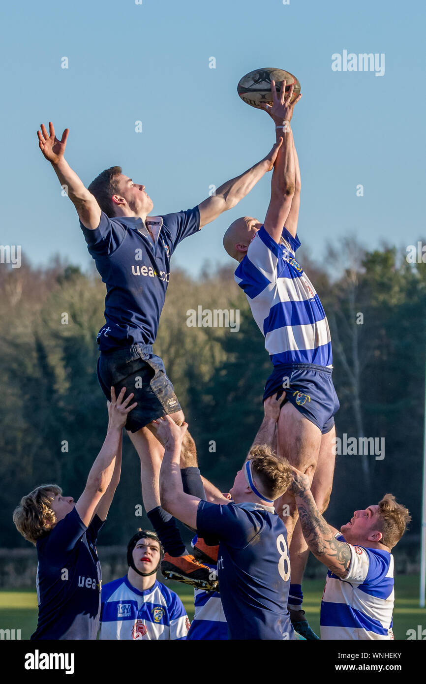 Rugby players held up high stretching for the ball thrown in at the