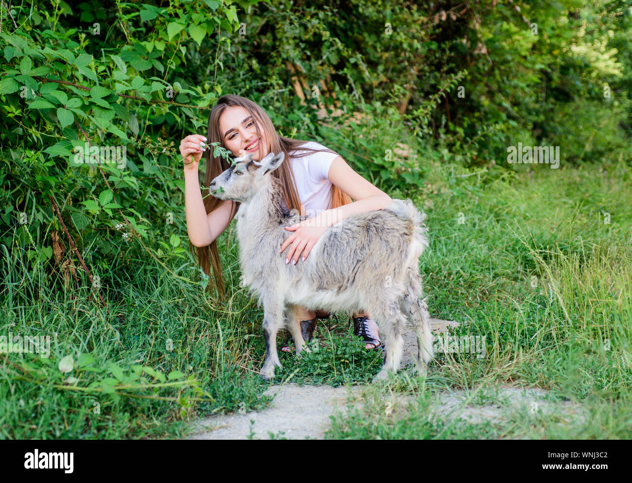 Girl play cute goat. Feeding animal. Animals law. Woman and small goat