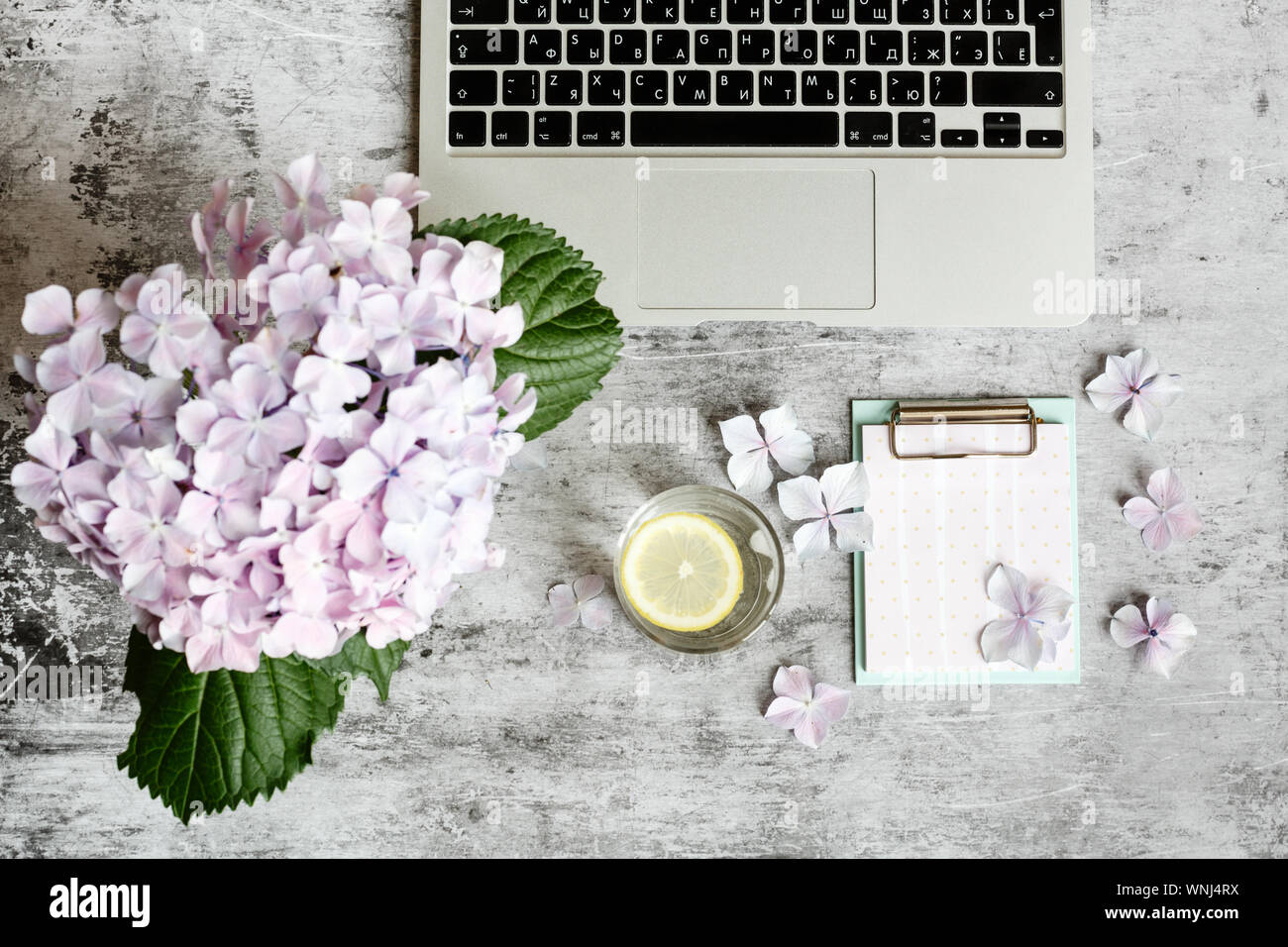 Home Office Desk Workspace With Laptop Hydrangea Flowers Bouquet