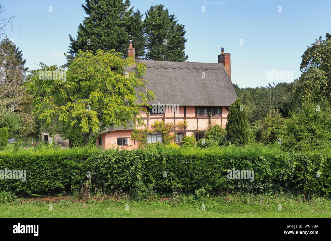Traditional Thatched English timber framed Village Cottage and garden Stock Photo