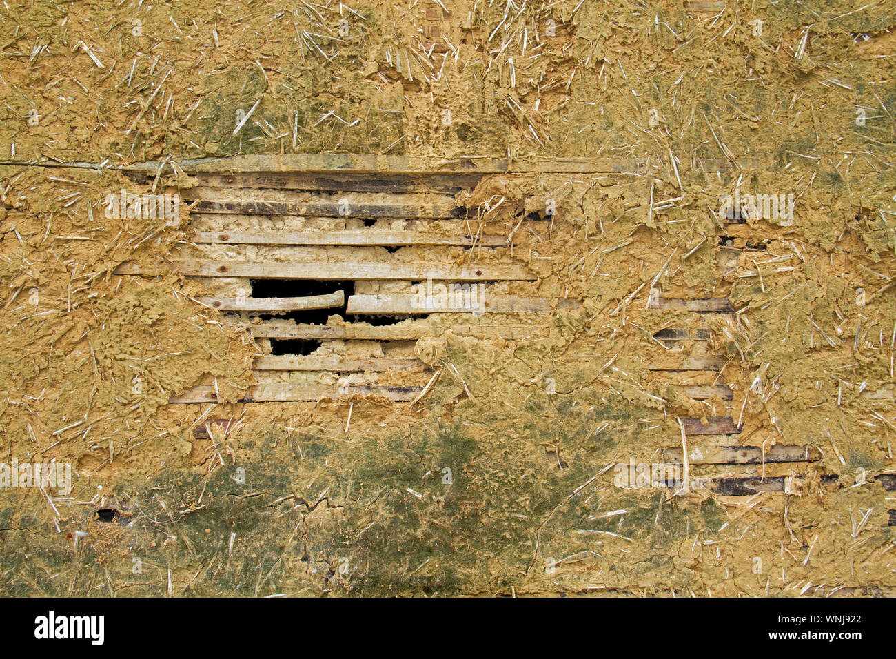 Detail of the wall of a traditonal farmhouse in southern France, made of wood, loam and straw Stock Photo