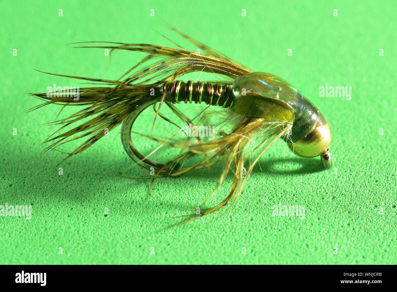 Twin coloured Copper John trout fly Stock Photo Alamy