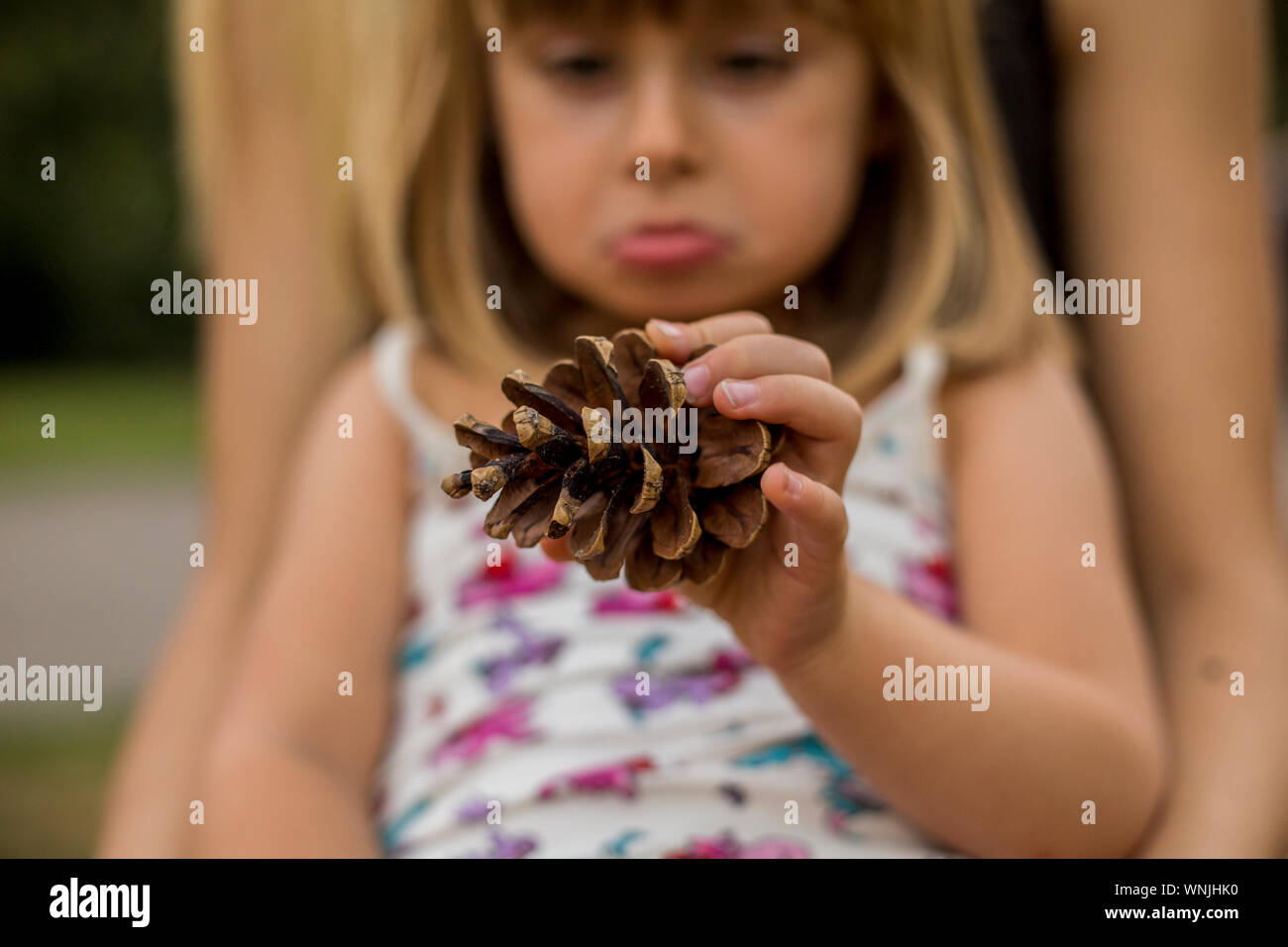 Two women holding pine cone hires stock photography and images Alamy