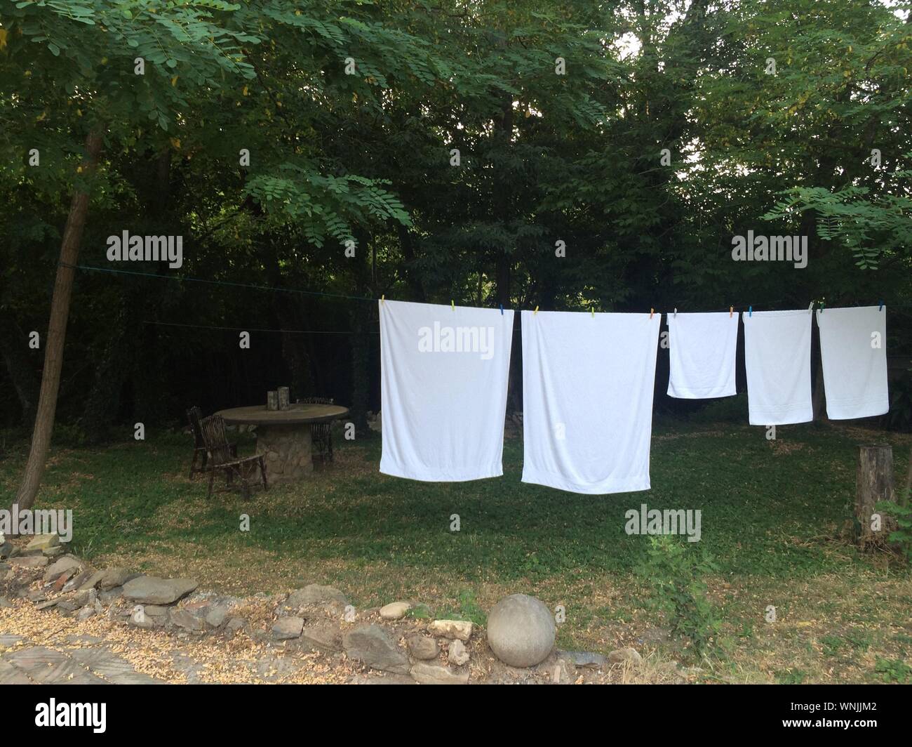 Grass for drying hires stock photography and images Alamy