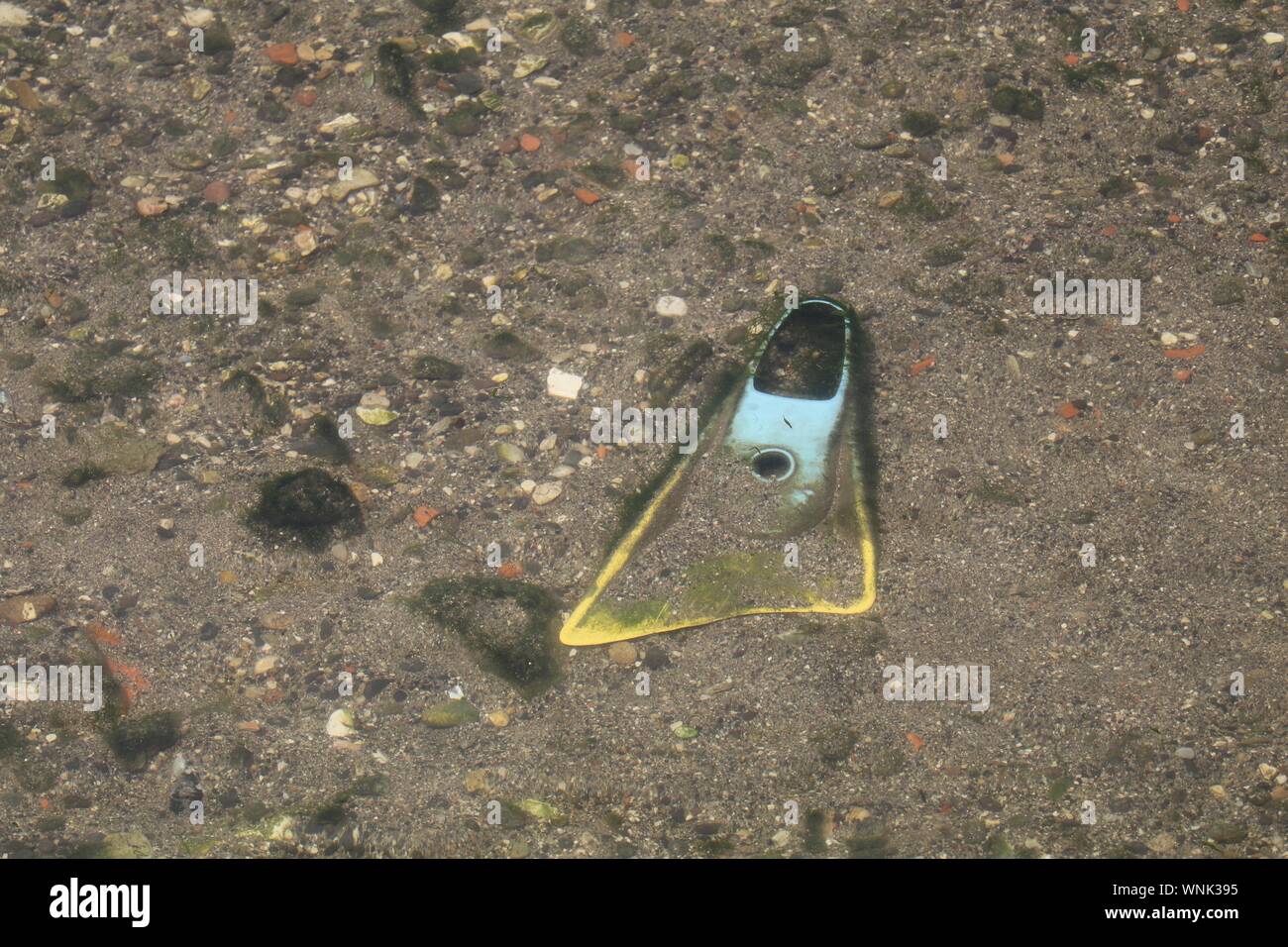 High Angle View Of Diving Flipper At Beach Stock Photo