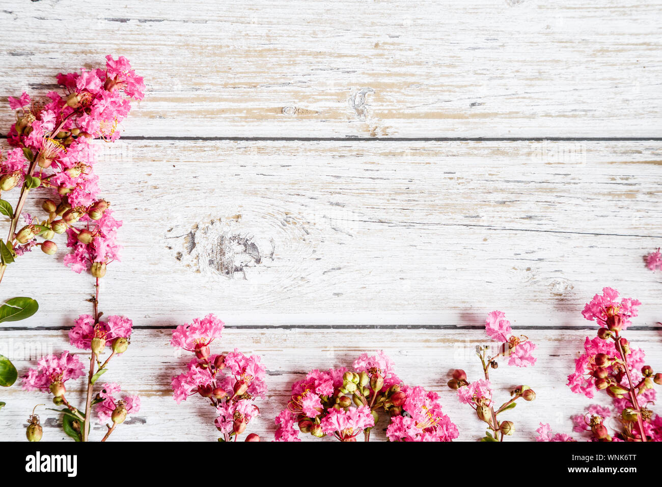 pink rustic wood background