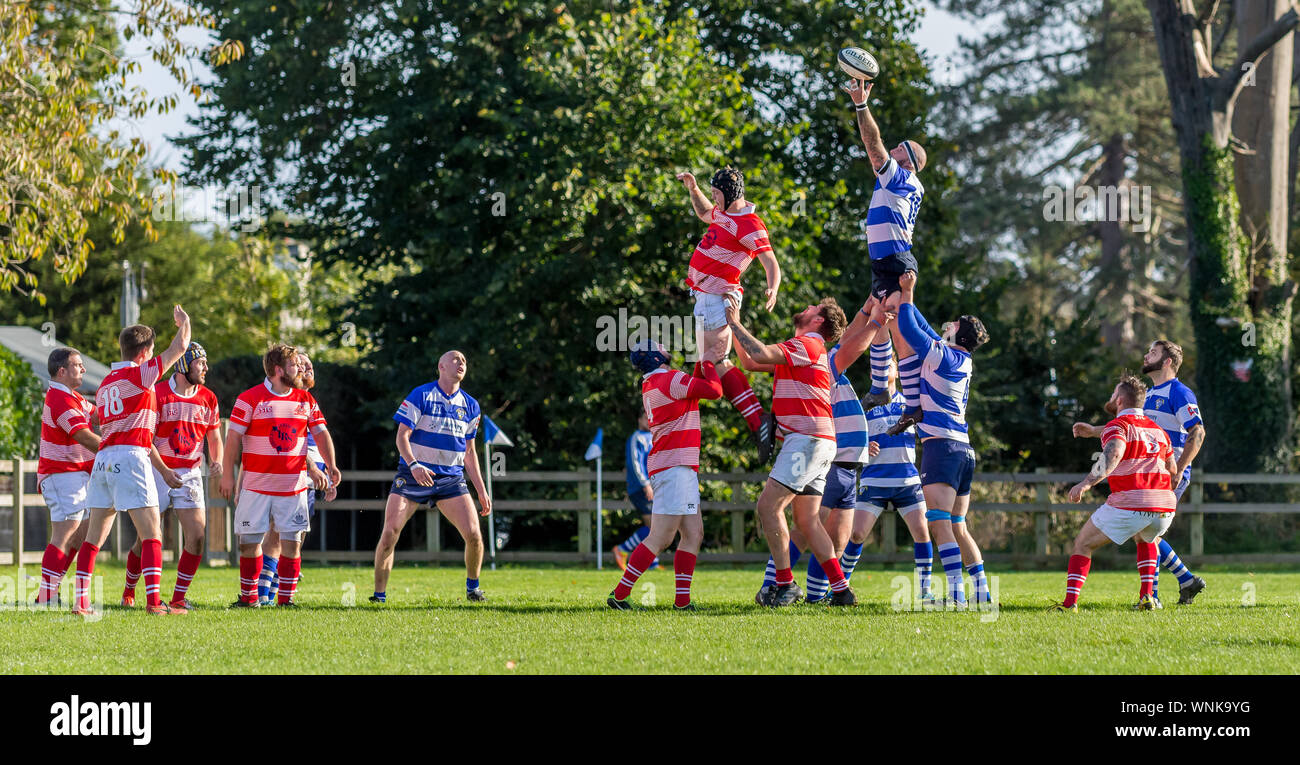 Rugby players held up high stretching for the ball thrown in at the