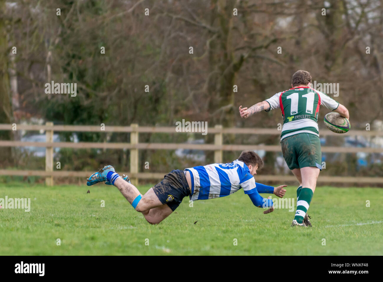 Amateur rugby union, tackling player dives in vain to grab an ankle