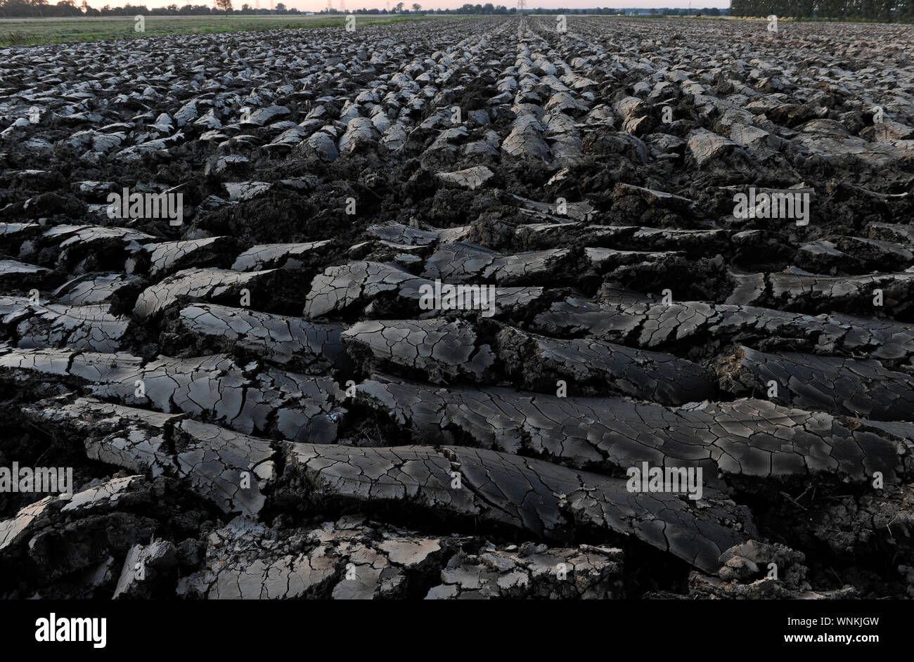 GERMANY, Schleswig-Holstein farming, plowed field with furrows, extreme wet heavy soil after heavy rains  / DEUTSCHLAND, Landwirtschaft, gepfluegtes Feld, schwerer nasser Boden nach Starkregen Stock Photo