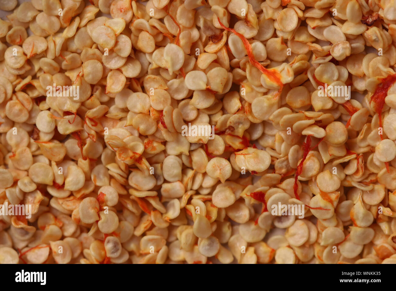 Chili pepper seeds background Stock Photo