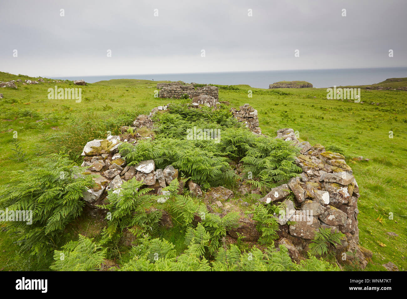 Remains of the old Sheilings at Rubha nan Oirean, Calgary Bay, Isle of Mull, Inner Hrbrides, Scotland, UK Stock Photo