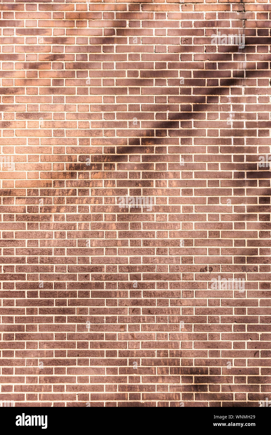 Brick wall texture with shadows from a nearby tree Stock Photo - Alamy