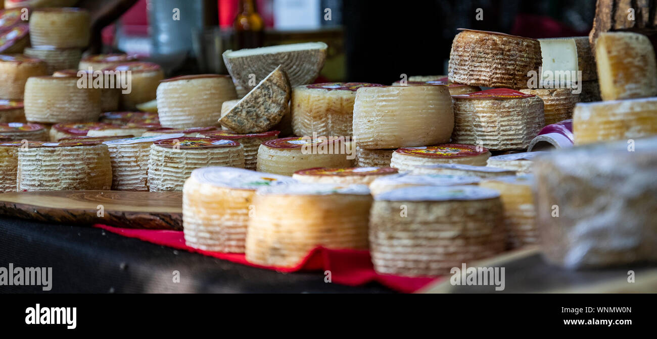 Traditional goat cheese typical of Liebana, Cantabria. Spain Stock