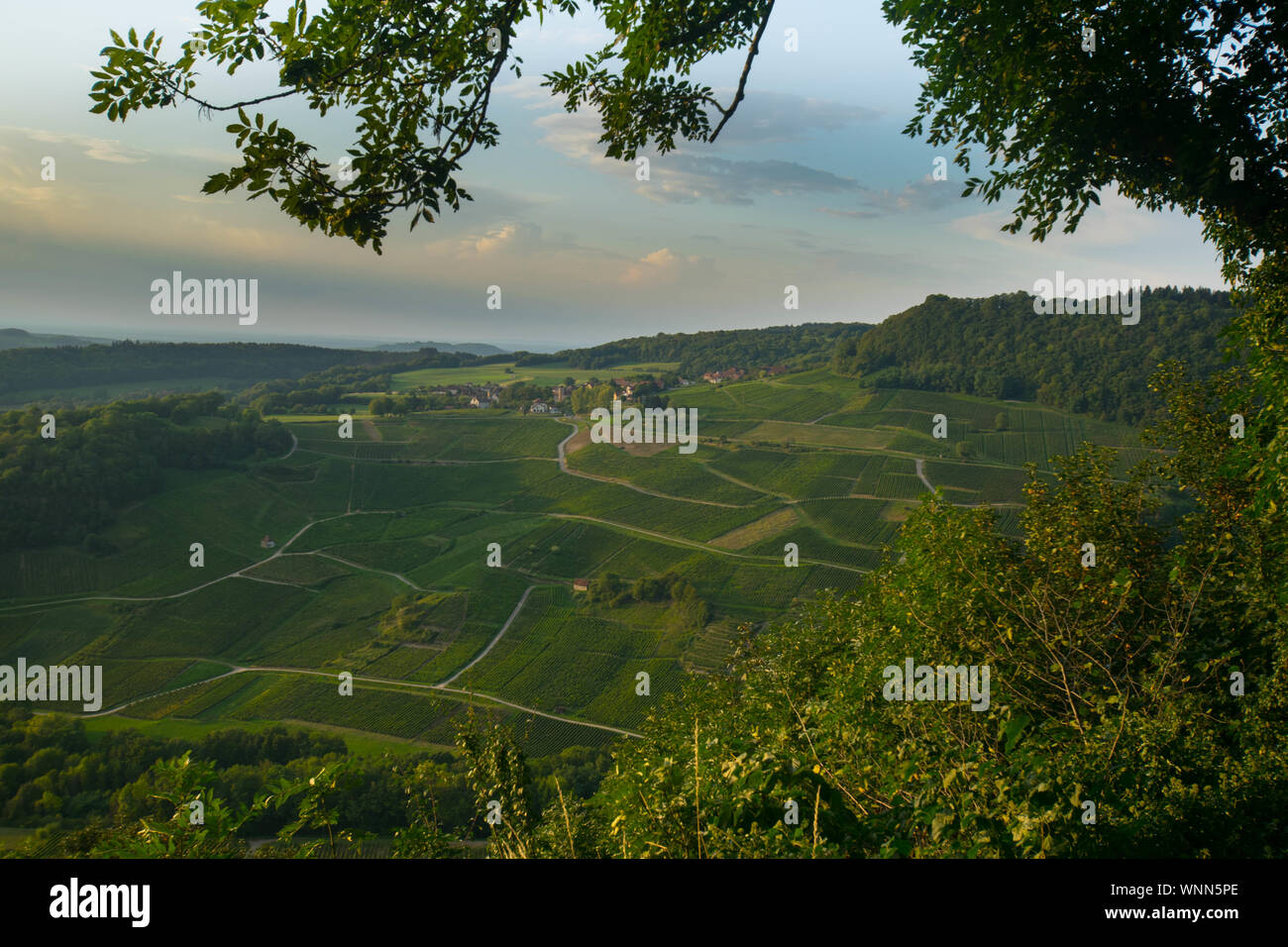 Vineyards near Chateau Chalon in the Franche Comté area in France Stock Photo