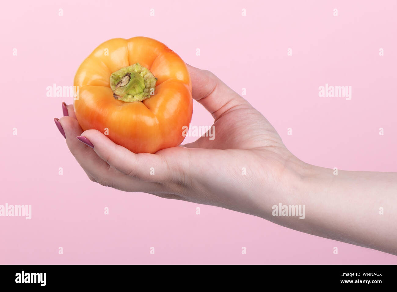 Orange sweet bell pepper in hand on a pink background. Orange bell